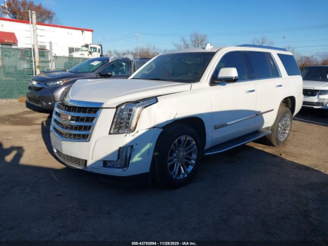Cadillac Escalade Standard Image 6