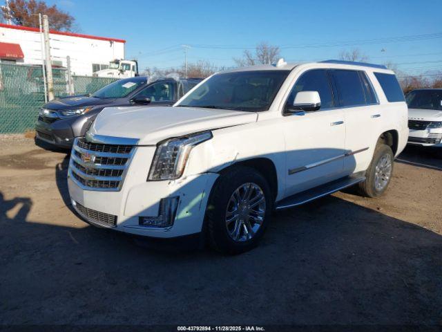 Cadillac Escalade Standard Image 6