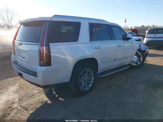 Cadillac Escalade Standard Image 13
