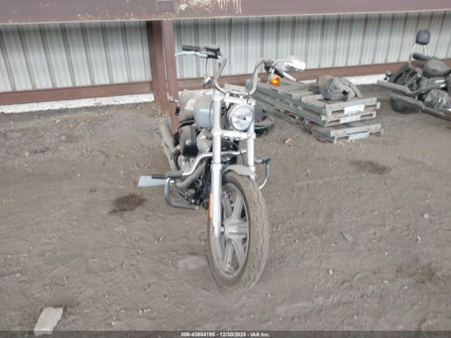 Harley-Davidson Fxst Image 4