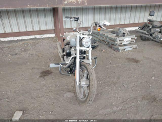 Harley-Davidson Fxst Image 4