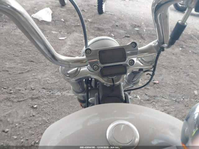 Harley-Davidson Fxst Image 6