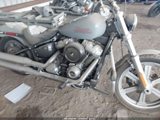 Harley-Davidson Fxst Image 5