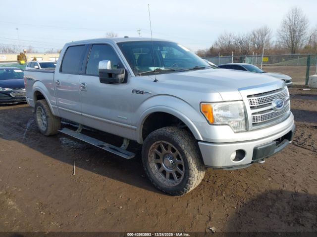 Ford F-150 Platinum Image 1
