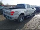 Ford F-150 Platinum Image 2