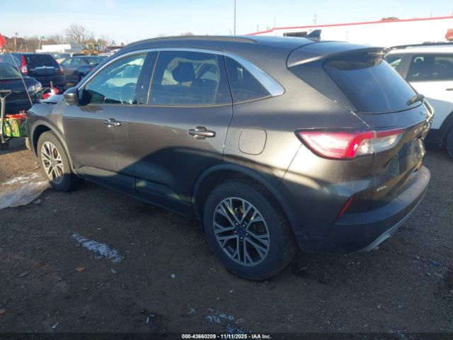 Ford Escape Sel Image 6