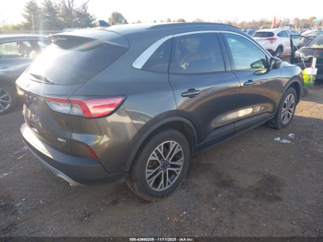 Ford Escape Sel Image 4