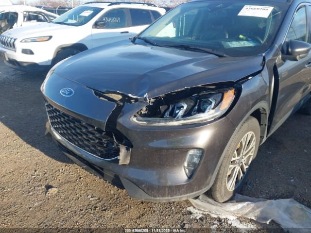 Ford Escape Sel Image 10