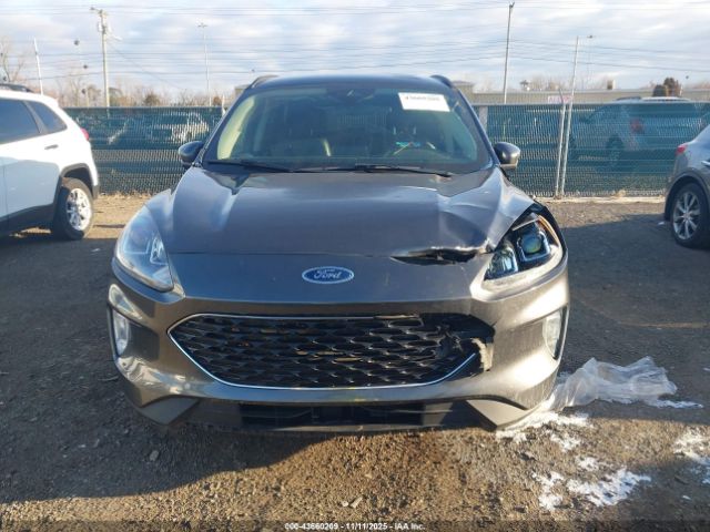 Ford Escape Sel Image 11