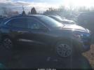 Ford Escape Sel Image 13