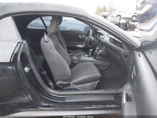 Ford Mustang V6 Image 5