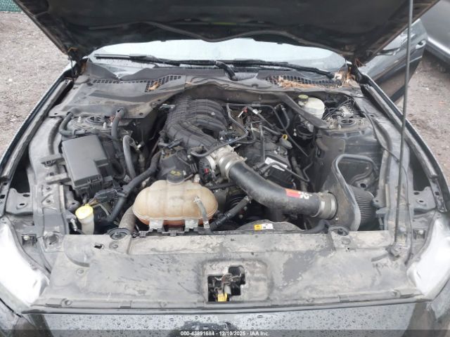 Ford Mustang V6 Image 14