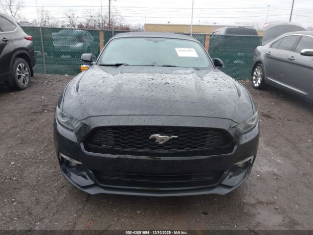 Ford Mustang V6 Image 4