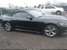 Ford Mustang V6 Image 13