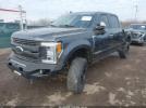 Ford F-250 Platinum Image 2