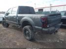 Ford F-250 Platinum Image 6