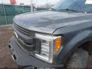 Ford F-250 Platinum Image 12
