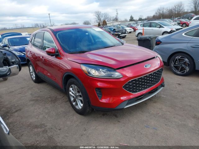 Ford Escape Se Image 1