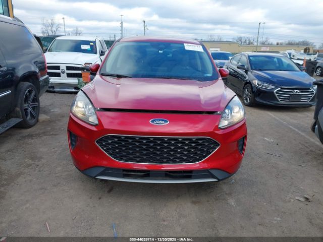 Ford Escape Se Image 13