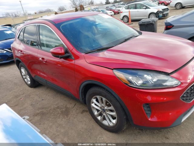 Ford Escape Se Image 8