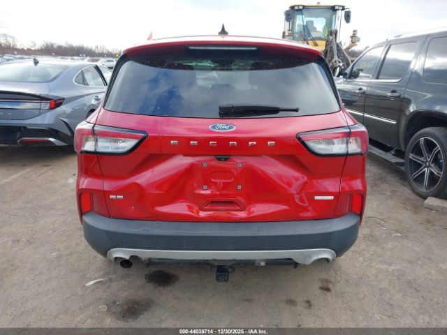 Ford Escape Se Image 11