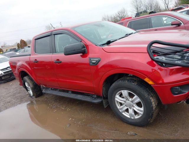 Ford Ranger Xlt Image 12