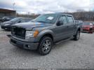 Ford F-150 Stx Image 2