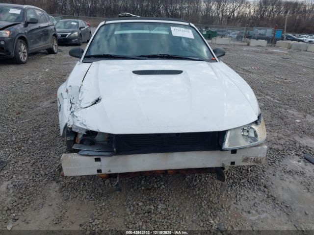 Ford Mustang Image 11