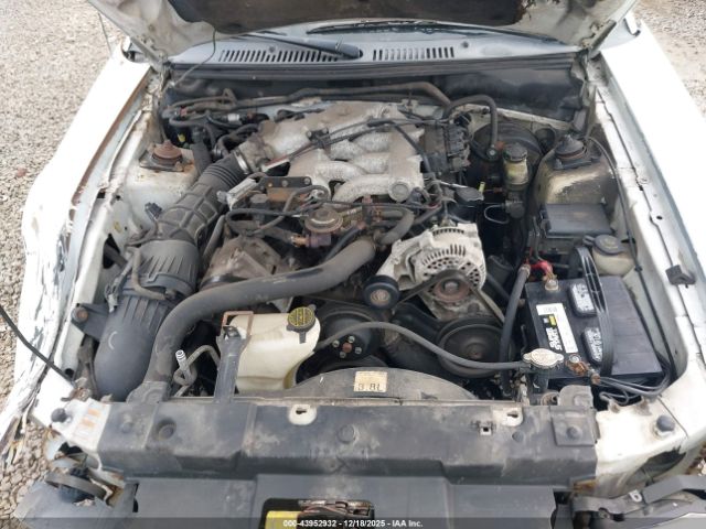 Ford Mustang Image 4