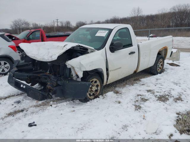Chevrolet Silverado 1500 Work Truck Image 4