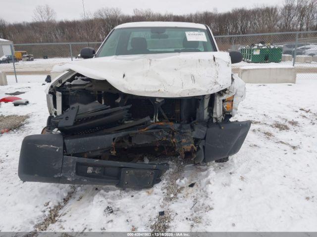 Chevrolet Silverado 1500 Work Truck Image 6