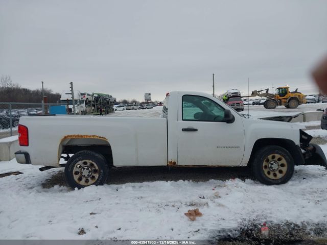 Chevrolet Silverado 1500 Work Truck Image 11