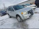 Ford Escape Xlt Image 1