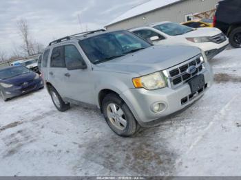  Salvage Ford Escape