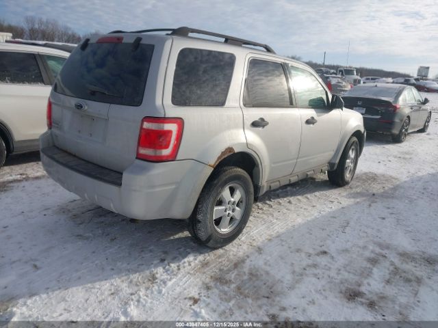Ford Escape Xlt Image 6