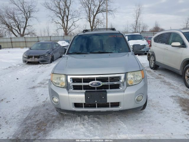 Ford Escape Xlt Image 15
