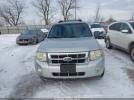 Ford Escape Xlt Image 15