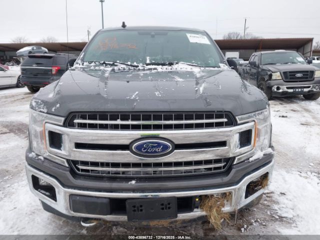 Ford F-150 Xlt Image 8