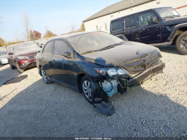 Toyota Corolla S Image 1