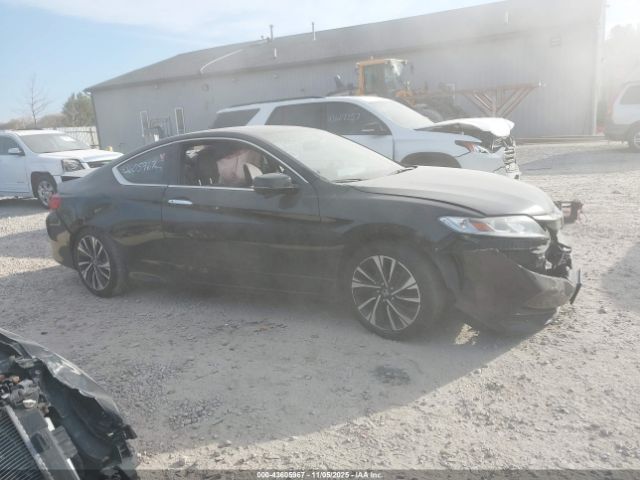 Honda Accord Ex-l Image 13