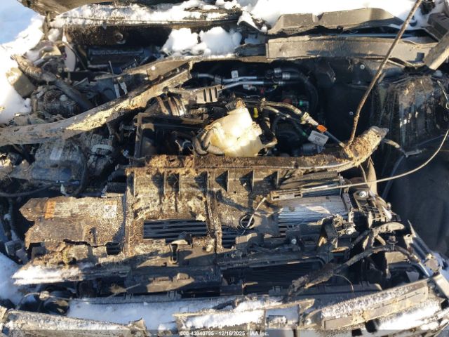 Ford Explorer Timberline Image 6