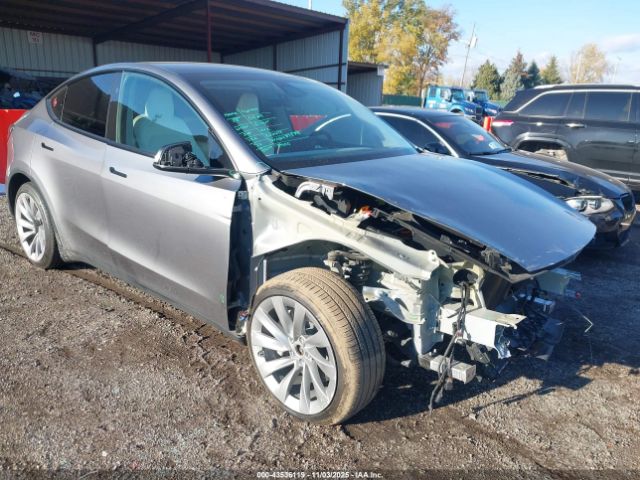 Tesla Model Y Image 1