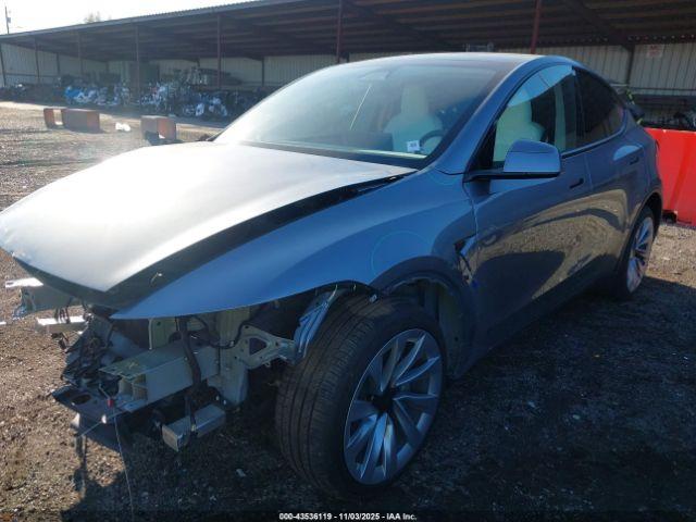 Tesla Model Y Image 10