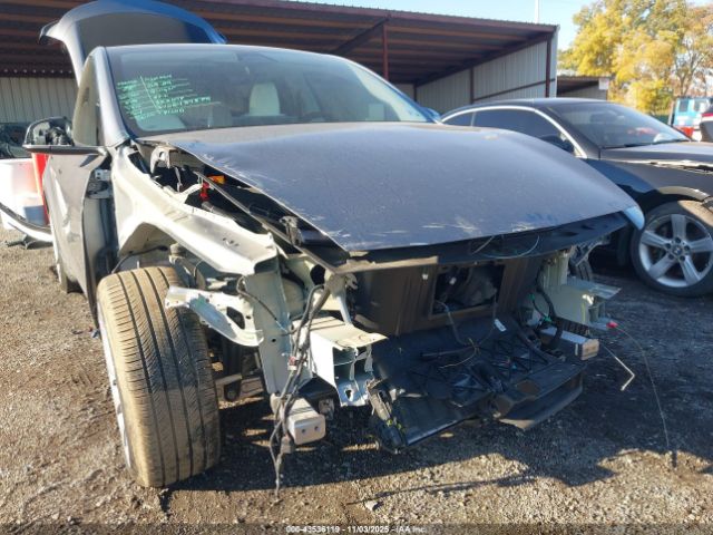 Tesla Model Y Image 3