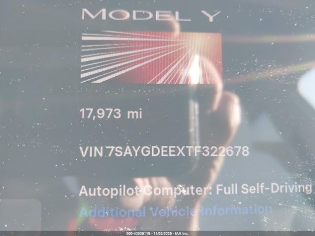 Tesla Model Y Image 2