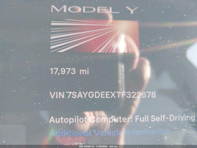 Tesla Model Y Image 2