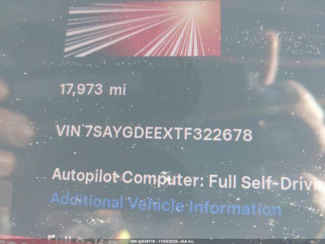 Tesla Model Y Image 9